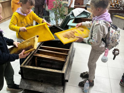 В преддверии осенних каникул приглашаем в музей мёда и томского пчеловодства «Пчелотека».